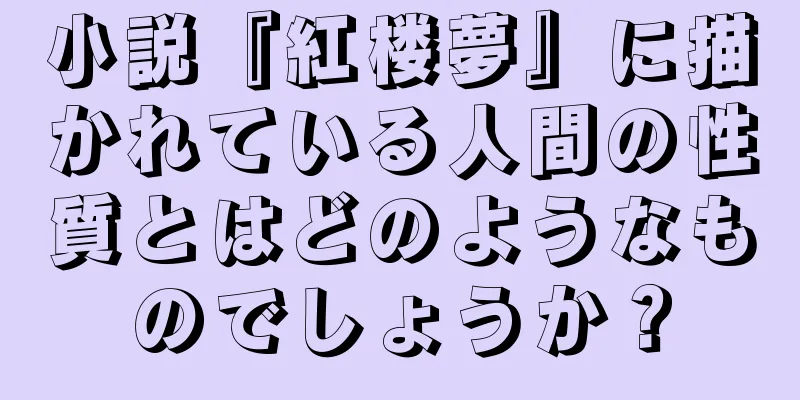 小説『紅楼夢』に描かれている人間の性質とはどのようなものでしょうか？