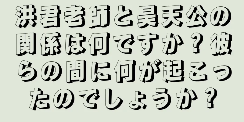 洪君老師と昊天公の関係は何ですか？彼らの間に何が起こったのでしょうか？