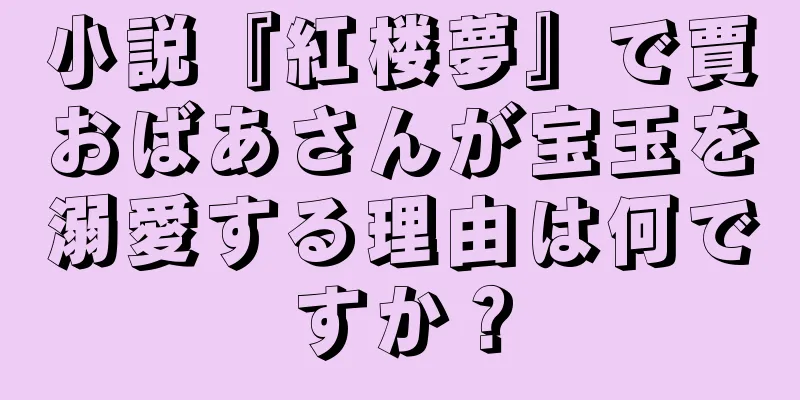 小説『紅楼夢』で賈おばあさんが宝玉を溺愛する理由は何ですか？