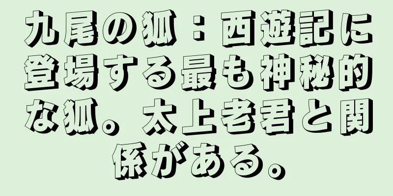 九尾の狐：西遊記に登場する最も神秘的な狐。太上老君と関係がある。