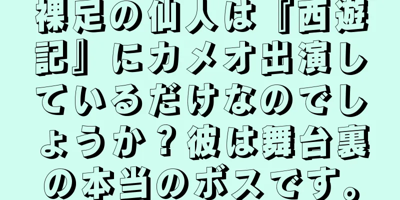 裸足の仙人は『西遊記』にカメオ出演しているだけなのでしょうか？彼は舞台裏の本当のボスです。