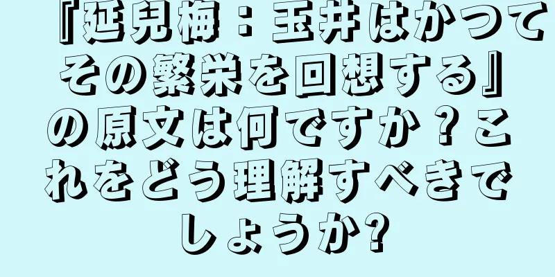 『延兒梅：玉井はかつてその繁栄を回想する』の原文は何ですか？これをどう理解すべきでしょうか?