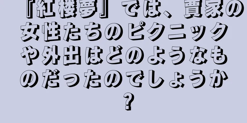 『紅楼夢』では、賈家の女性たちのピクニックや外出はどのようなものだったのでしょうか？