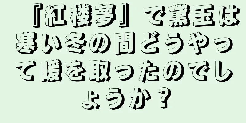 『紅楼夢』で黛玉は寒い冬の間どうやって暖を取ったのでしょうか？