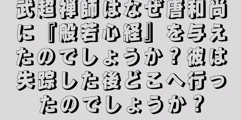 武超禅師はなぜ唐和尚に『般若心経』を与えたのでしょうか？彼は失踪した後どこへ行ったのでしょうか？