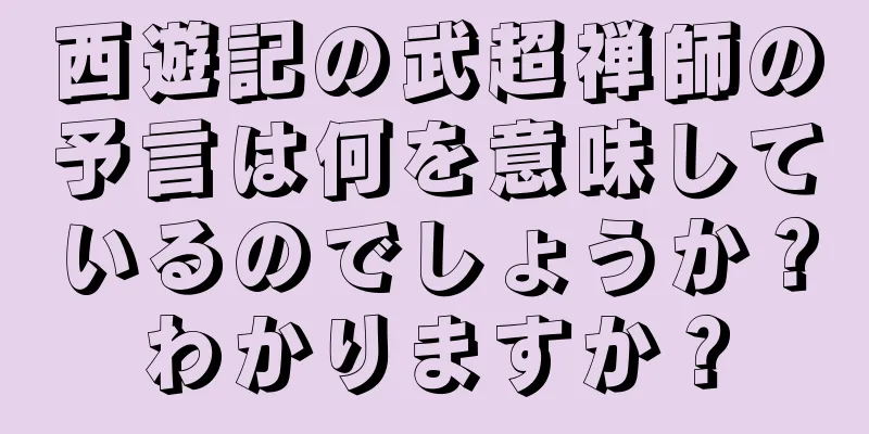 西遊記の武超禅師の予言は何を意味しているのでしょうか？わかりますか？
