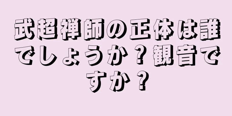 武超禅師の正体は誰でしょうか？観音ですか？