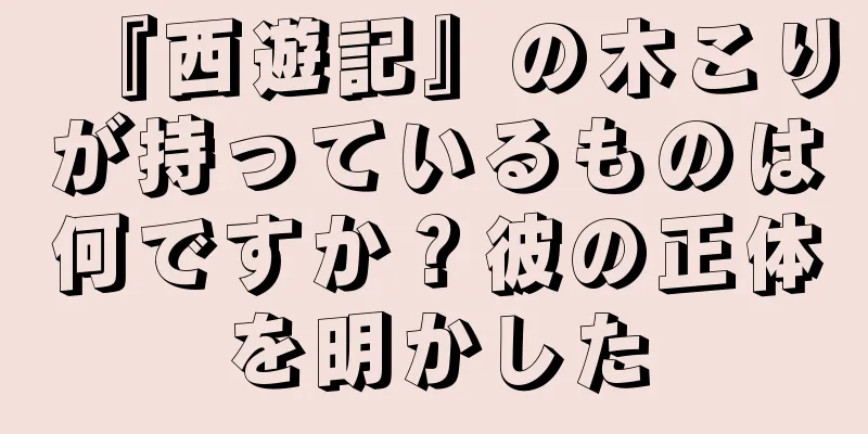 『西遊記』の木こりが持っているものは何ですか？彼の正体を明かした