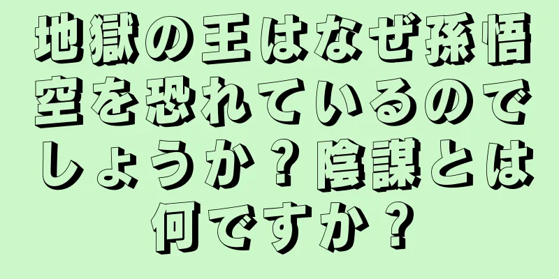 地獄の王はなぜ孫悟空を恐れているのでしょうか？陰謀とは何ですか？