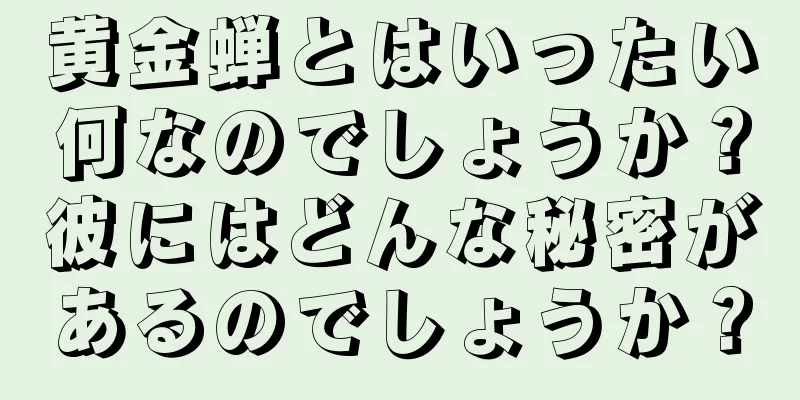 黄金蝉とはいったい何なのでしょうか？彼にはどんな秘密があるのでしょうか？