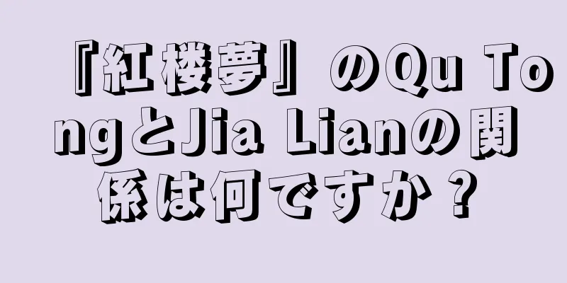 『紅楼夢』のQu TongとJia Lianの関係は何ですか？