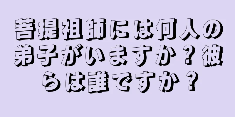 菩提祖師には何人の弟子がいますか？彼らは誰ですか？
