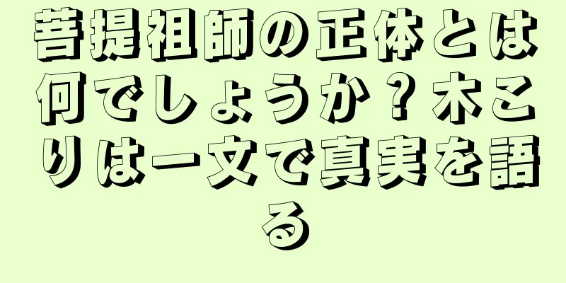 菩提祖師の正体とは何でしょうか？木こりは一文で真実を語る