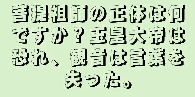 菩提祖師の正体は何ですか？玉皇大帝は恐れ、観音は言葉を失った。