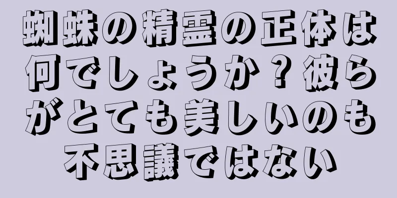 蜘蛛の精霊の正体は何でしょうか？彼らがとても美しいのも不思議ではない