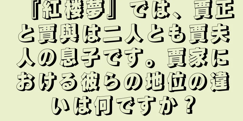 『紅楼夢』では、賈正と賈與は二人とも賈夫人の息子です。賈家における彼らの地位の違いは何ですか？