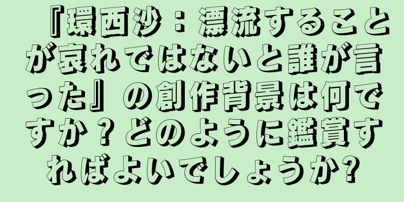 『環西沙：漂流することが哀れではないと誰が言った』の創作背景は何ですか？どのように鑑賞すればよいでしょうか?