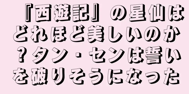 『西遊記』の星仙はどれほど美しいのか？タン・センは誓いを破りそうになった