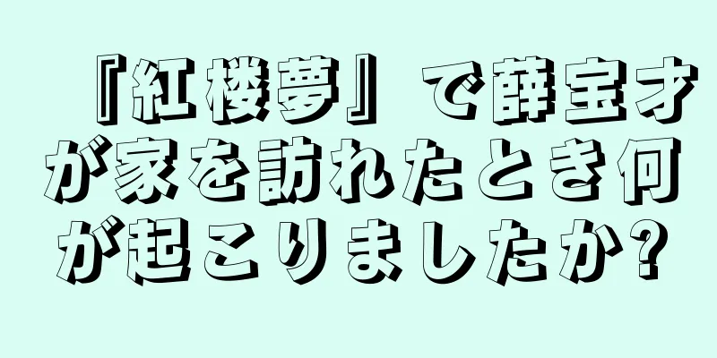 『紅楼夢』で薛宝才が家を訪れたとき何が起こりましたか?