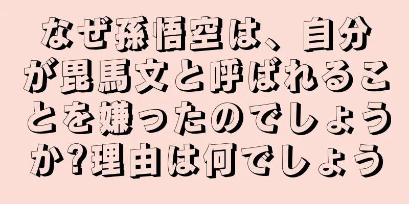 なぜ孫悟空は、自分が毘馬文と呼ばれることを嫌ったのでしょうか?理由は何でしょう