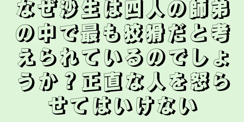 なぜ沙生は四人の師弟の中で最も狡猾だと考えられているのでしょうか？正直な人を怒らせてはいけない