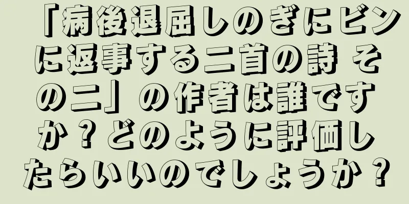 「病後退屈しのぎにビンに返事する二首の詩 その二」の作者は誰ですか？どのように評価したらいいのでしょうか？