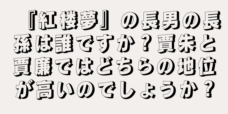 『紅楼夢』の長男の長孫は誰ですか？賈朱と賈廉ではどちらの地位が高いのでしょうか？