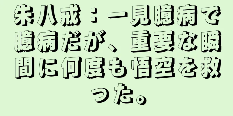 朱八戒：一見臆病で臆病だが、重要な瞬間に何度も悟空を救った。