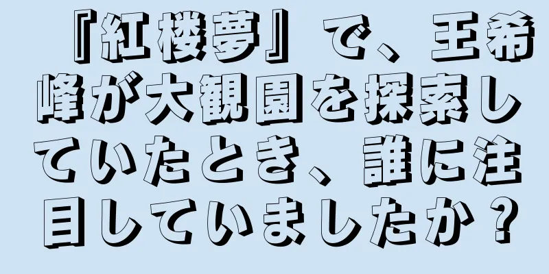 『紅楼夢』で、王希峰が大観園を探索していたとき、誰に注目していましたか？