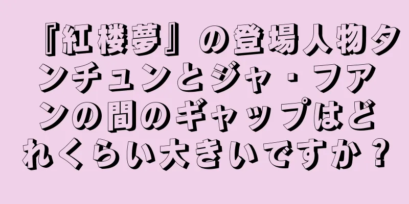 『紅楼夢』の登場人物タンチュンとジャ・フアンの間のギャップはどれくらい大きいですか？