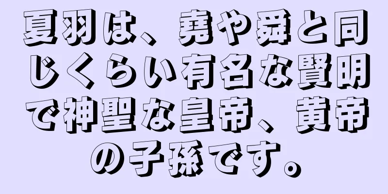 夏羽は、堯や舜と同じくらい有名な賢明で神聖な皇帝、黄帝の子孫です。