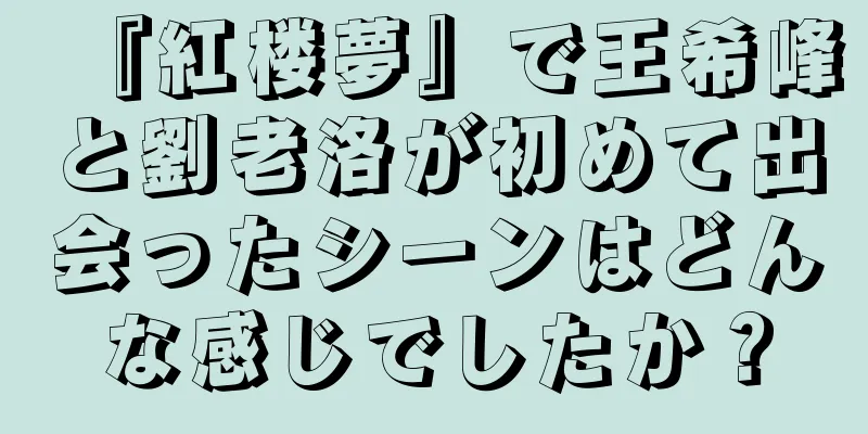 『紅楼夢』で王希峰と劉老洛が初めて出会ったシーンはどんな感じでしたか？