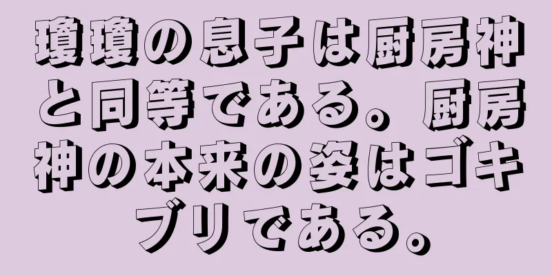 瓊瓊の息子は厨房神と同等である。厨房神の本来の姿はゴキブリである。