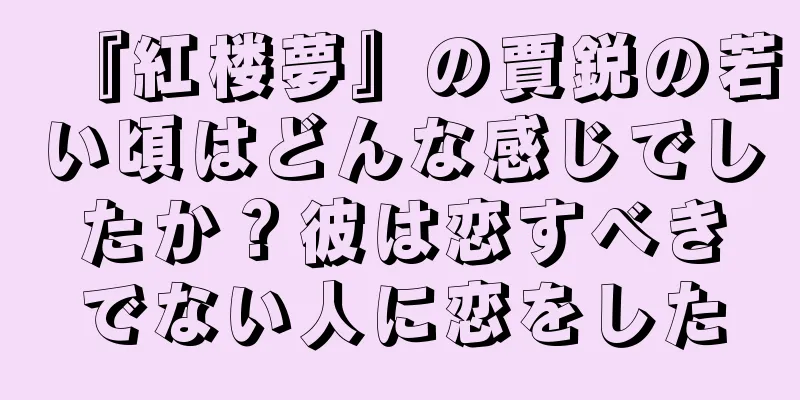 『紅楼夢』の賈鋭の若い頃はどんな感じでしたか？彼は恋すべきでない人に恋をした