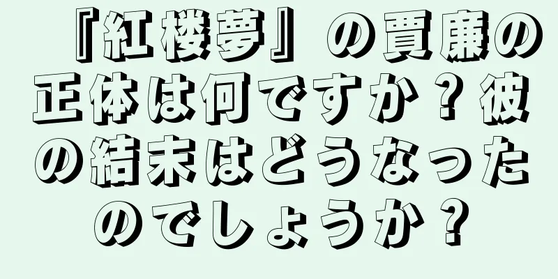 『紅楼夢』の賈廉の正体は何ですか？彼の結末はどうなったのでしょうか？