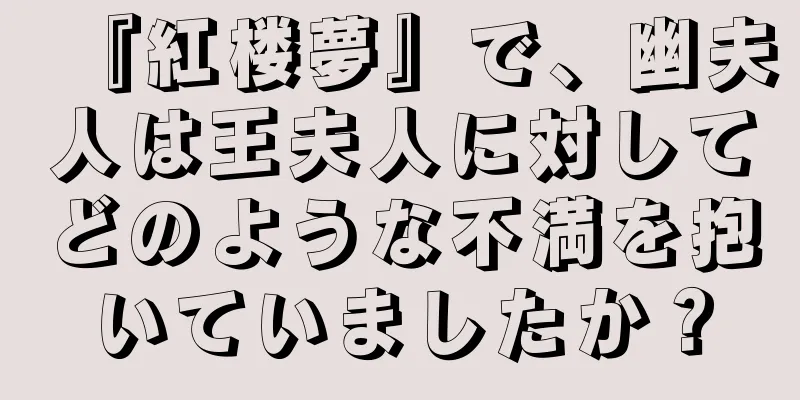 『紅楼夢』で、幽夫人は王夫人に対してどのような不満を抱いていましたか？