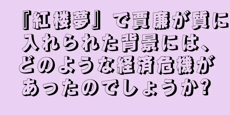『紅楼夢』で賈廉が質に入れられた背景には、どのような経済危機があったのでしょうか?