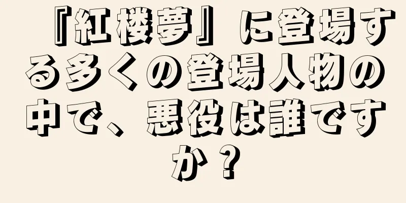 『紅楼夢』に登場する多くの登場人物の中で、悪役は誰ですか？
