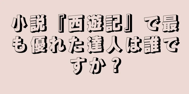 小説『西遊記』で最も優れた達人は誰ですか？