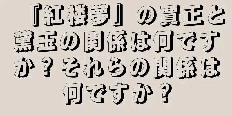 『紅楼夢』の賈正と黛玉の関係は何ですか？それらの関係は何ですか？
