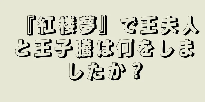 『紅楼夢』で王夫人と王子騰は何をしましたか？
