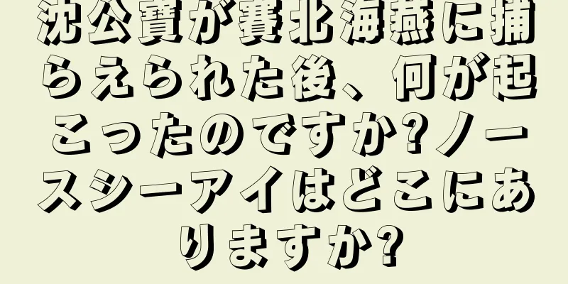 沈公寶が賽北海燕に捕らえられた後、何が起こったのですか?ノースシーアイはどこにありますか?