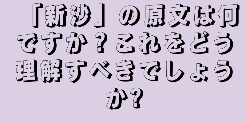 「新沙」の原文は何ですか？これをどう理解すべきでしょうか?