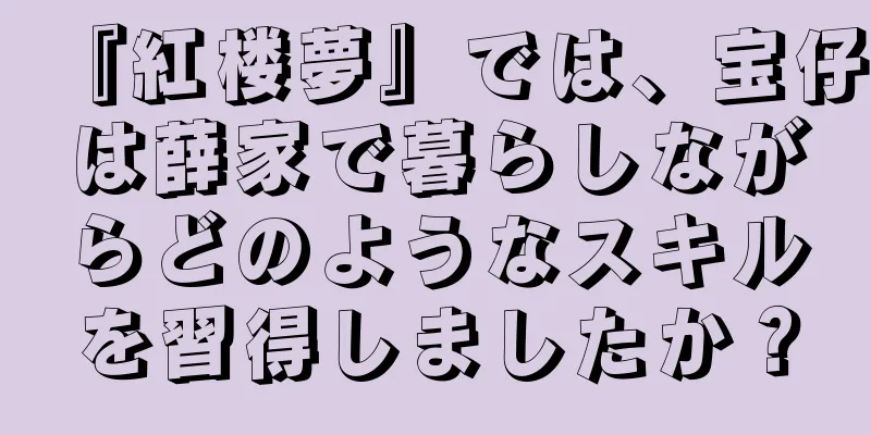 『紅楼夢』では、宝仔は薛家で暮らしながらどのようなスキルを習得しましたか？