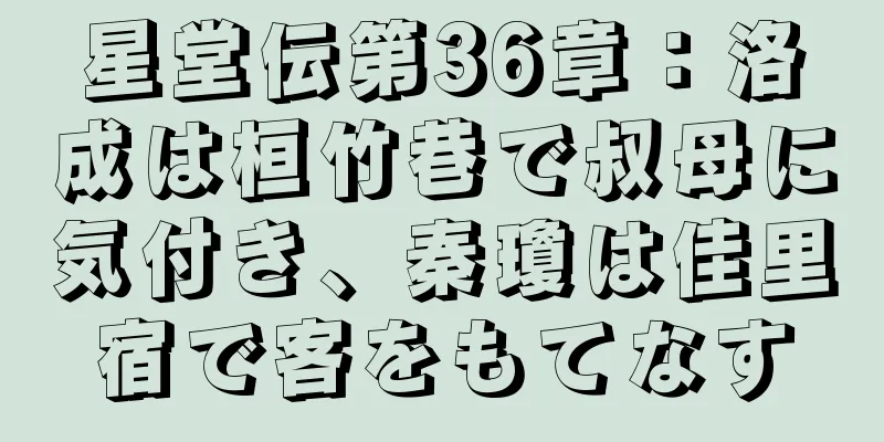 星堂伝第36章：洛成は桓竹巷で叔母に気付き、秦瓊は佳里宿で客をもてなす