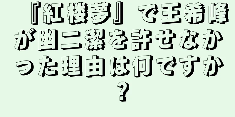 『紅楼夢』で王希峰が幽二潔を許せなかった理由は何ですか？