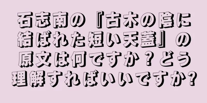 石志南の『古木の陰に結ばれた短い天蓋』の原文は何ですか？どう理解すればいいですか?