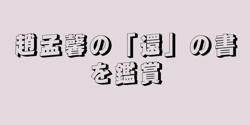趙孟馨の「還」の書を鑑賞