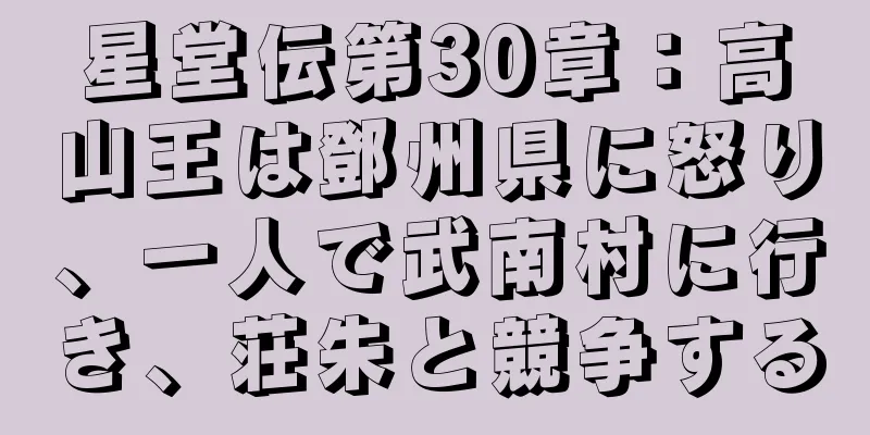 星堂伝第30章：高山王は鄧州県に怒り、一人で武南村に行き、荘朱と競争する