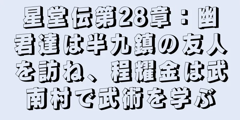 星堂伝第28章：幽君達は半九鎮の友人を訪ね、程耀金は武南村で武術を学ぶ